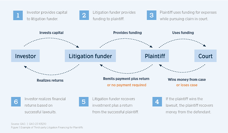 Description of the roles investors, litigation funders, plaintiffs and courts play in the litigation funding process.