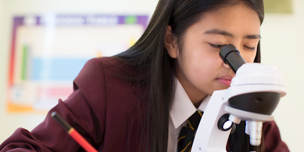 Title IX & Private K-12 Schools Webinar