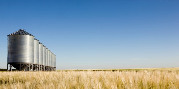 Field to Fork: February 2021