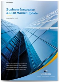 Business Insurance & Risk Market Update H1 2023 