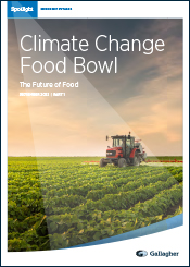 Climate Change Food Bowl Thumb PDF
