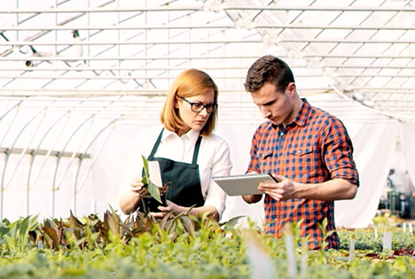 Two individuals in a greenhouse