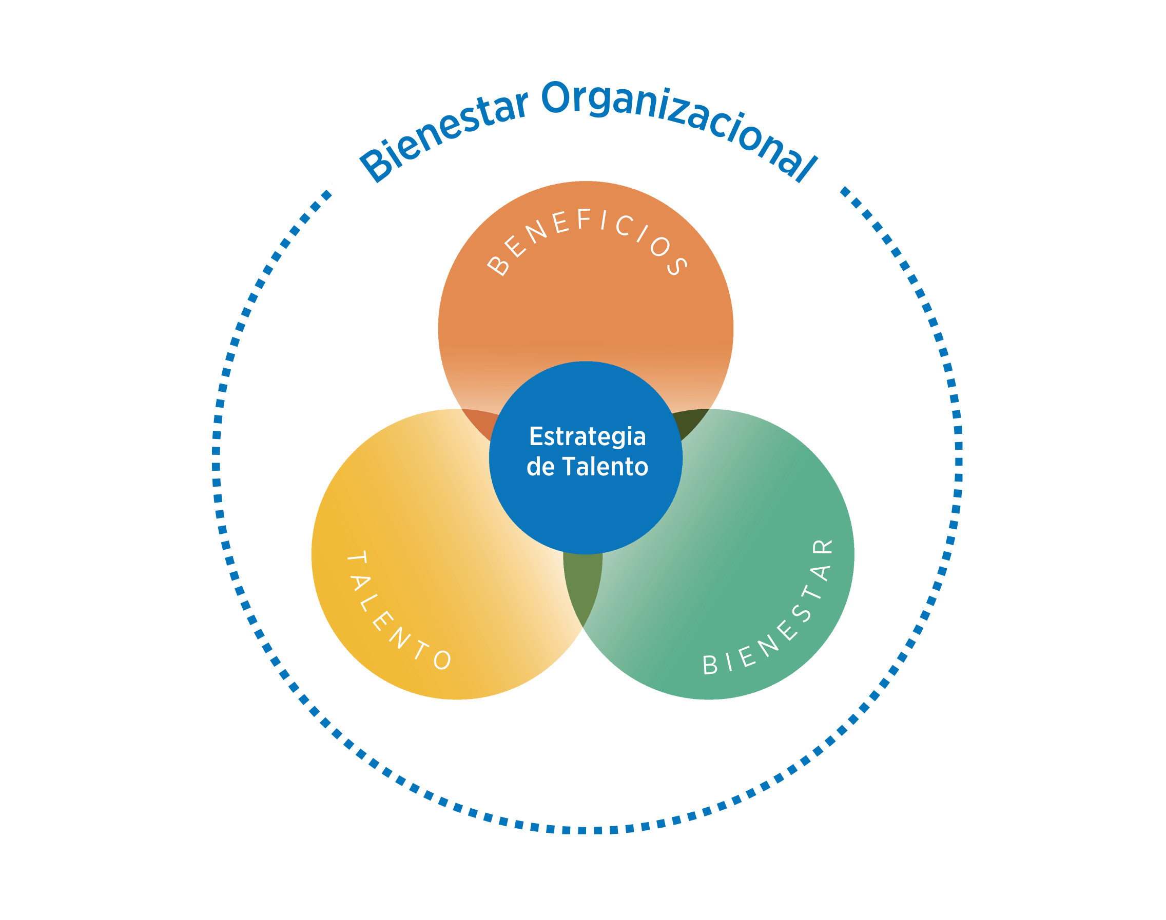 Ponemos la estrategia de talento en el centro del bienestar organizacional, transformando la organización y promoviendo la productividad de los equipos.