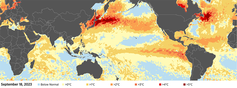 Sea surface temperature anomalies