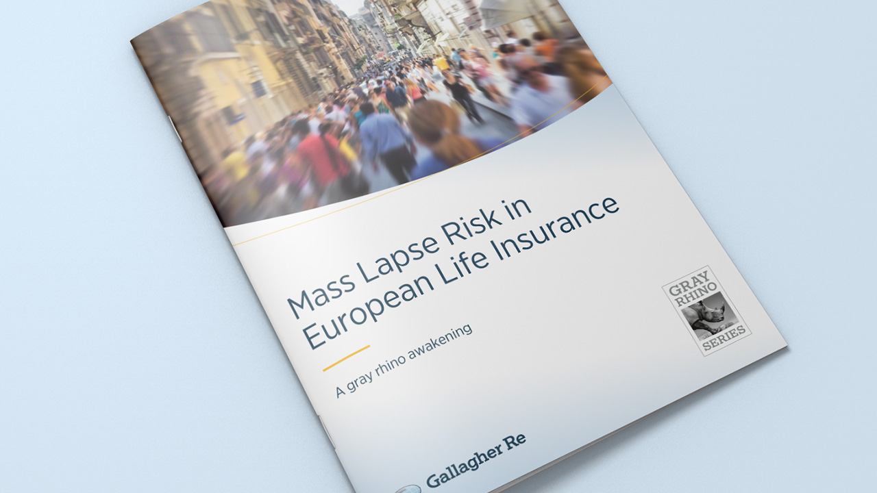 The Grey Rhinos Series: Life Lapse