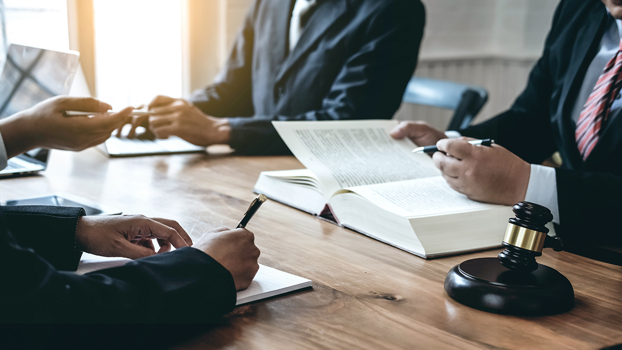 The Gray Rhinos Series: Climate Litigation