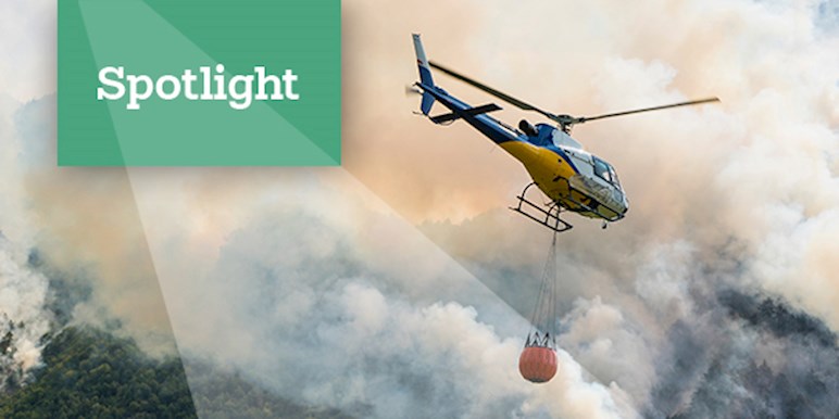 World on Fire 2025: Impacts of an Expanding Wildfire Season