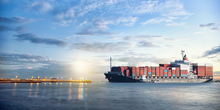 Geopolitical factors contributing to risk of business interruption