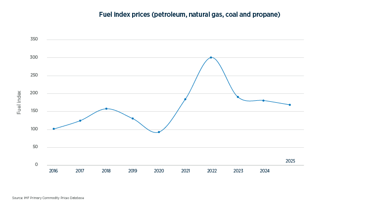 Fuel prices spiked in 2022 and remain above 2022