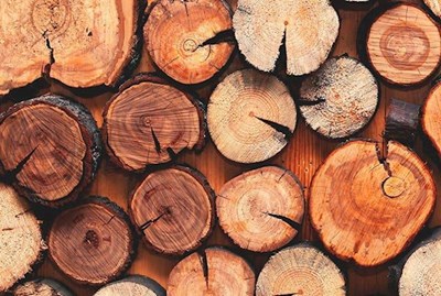 Timber Framed Buildings