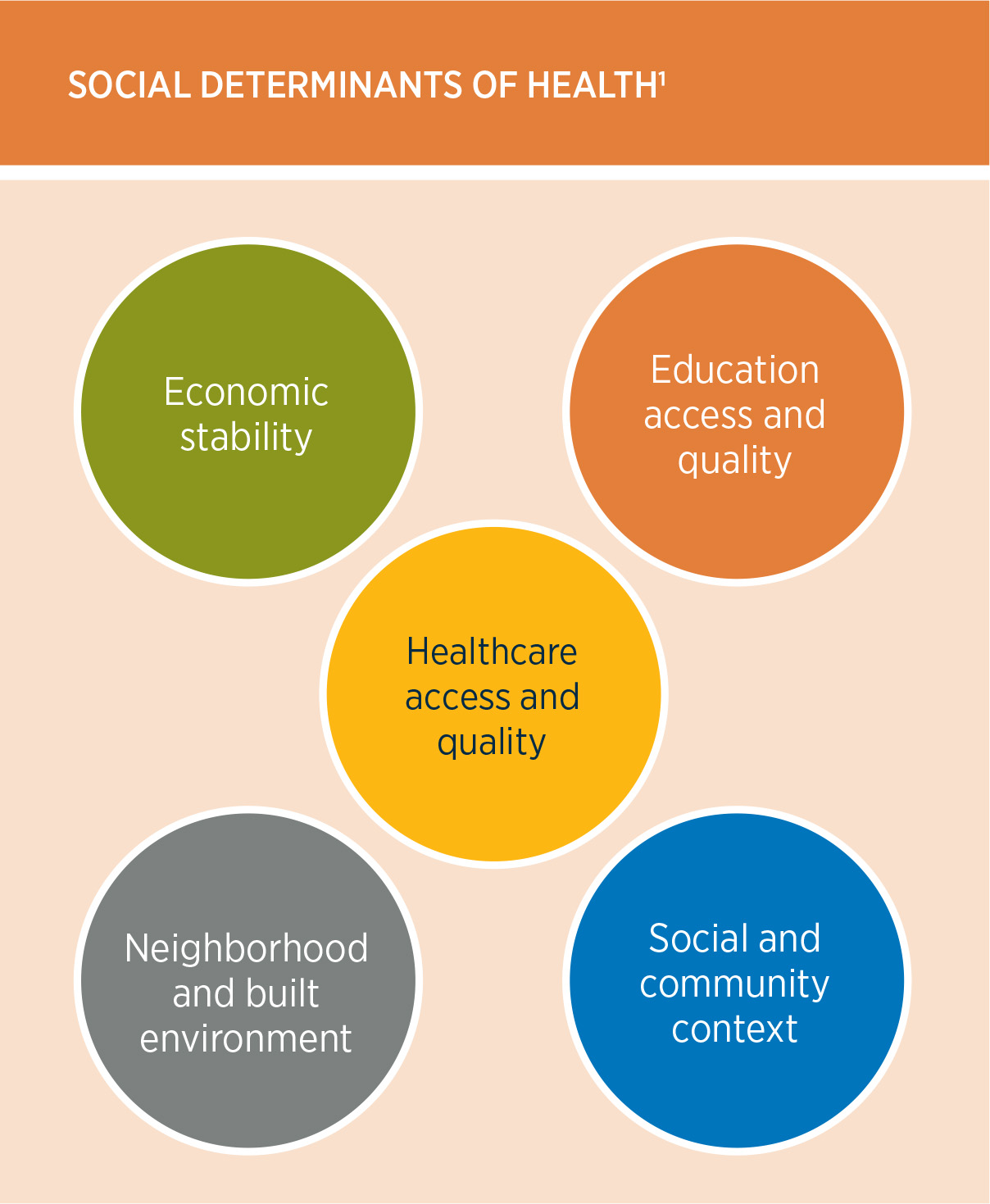 Taking Action on Social Determinants of Health Gallagher USA